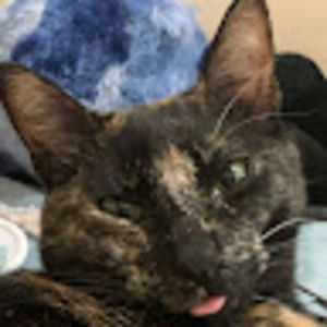 Meet your Posher, Bethany